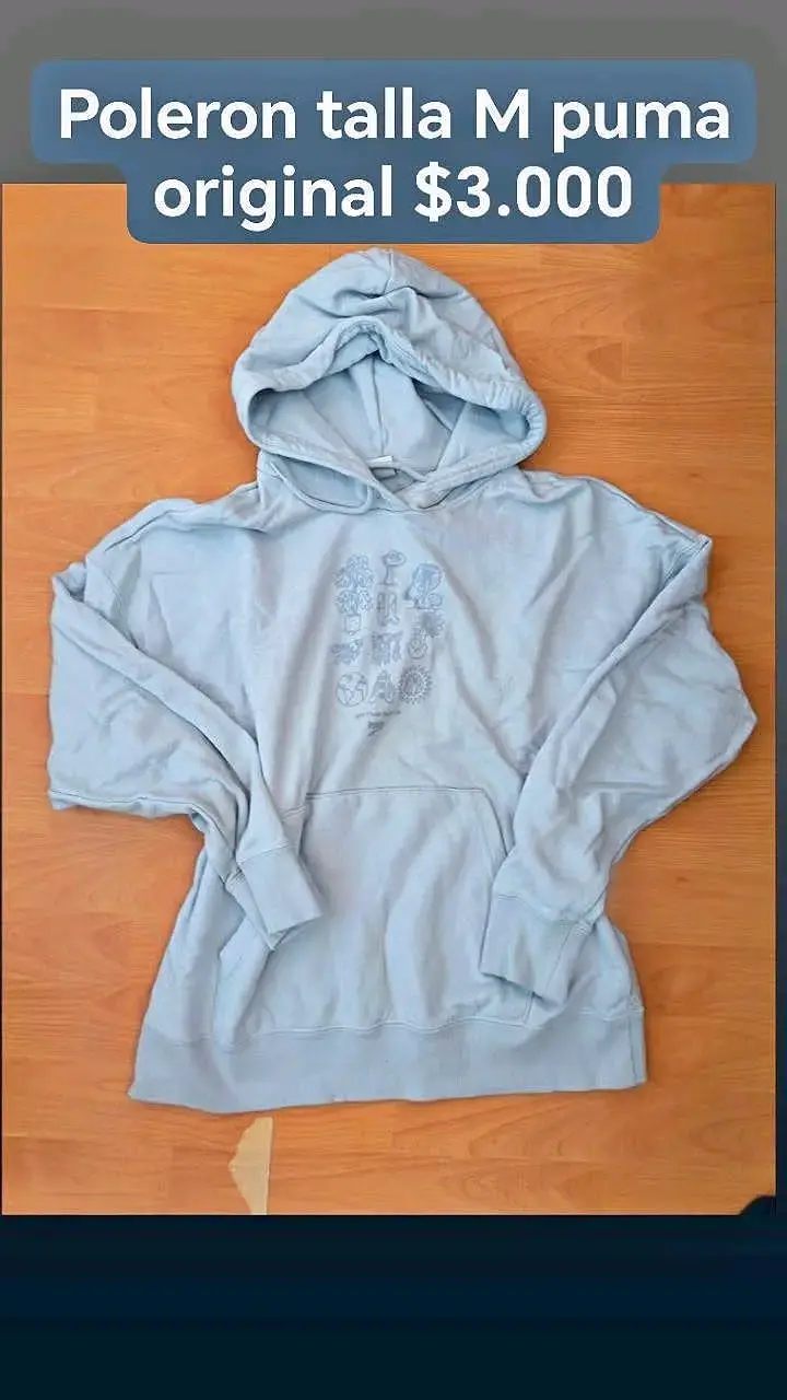 Polerón gris con capucha Puma