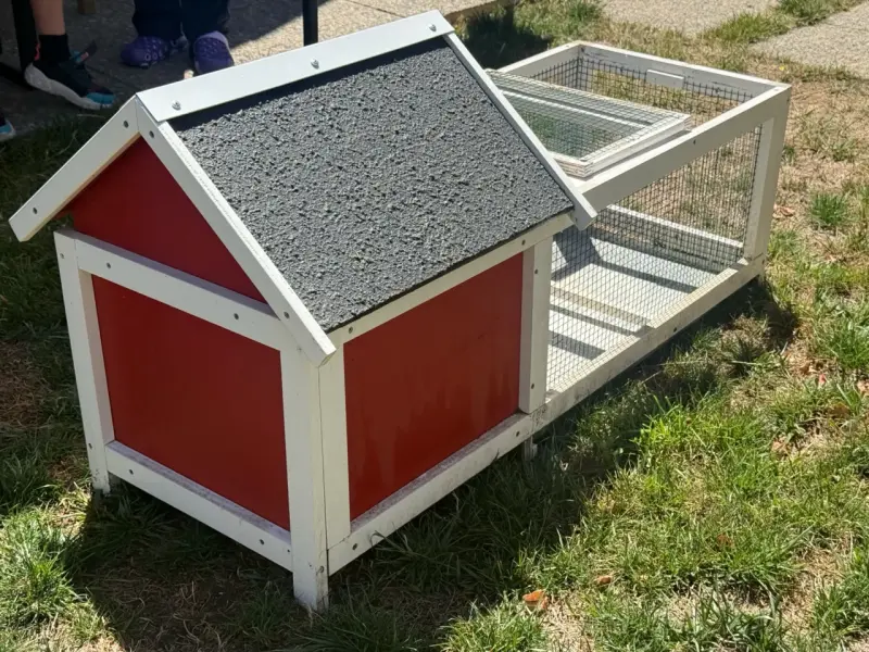 Casita para conejos de madera - 4