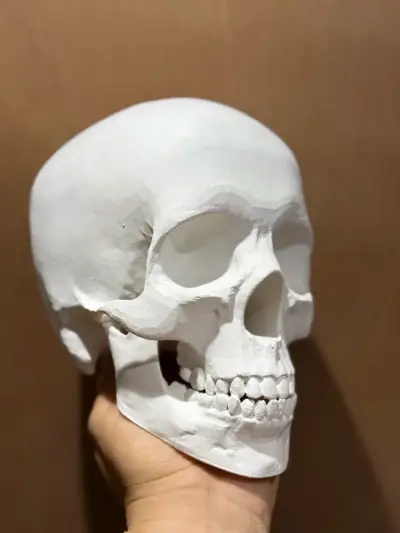 Calavera decorativa de filamento pla en 3D - miniatura 1