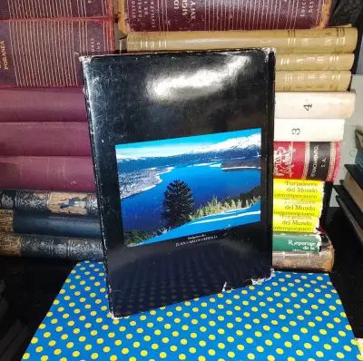 Platería Mapuche - Raúl Morris Von Bennewitz - miniatura 2