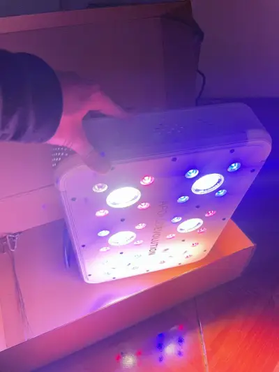 Luz de cultivo DELIGHT como nueva - miniatura 2
