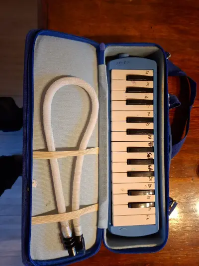 Melódica con estuche azul - miniatura 1