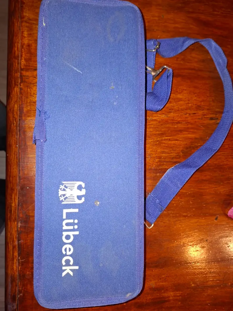 Melódica con estuche azul - 2