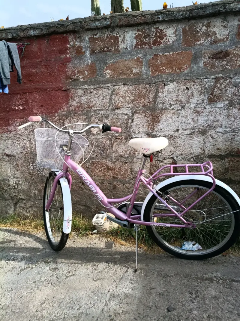 Bicicleta Brabus rosa con cesta - 1