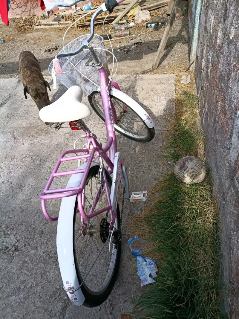Bicicleta Brabus rosa con cesta - 2