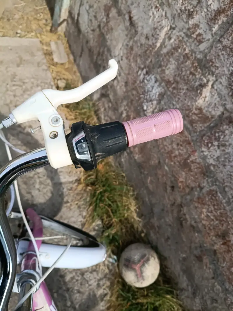 Bicicleta Brabus rosa con cesta - 3