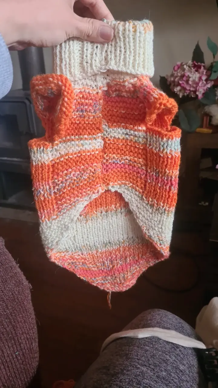 Chaleco de lana para perro - 2