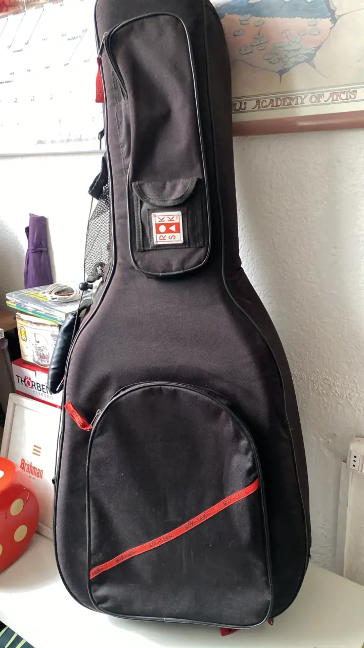 Funda acolchada para guitarra