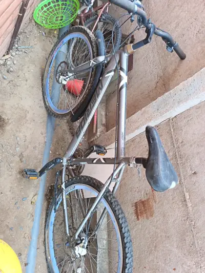 Bicicleta de montaña gris - miniatura 1