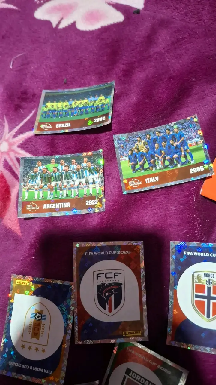 Laminas mundial panini fwc y escudos - 3