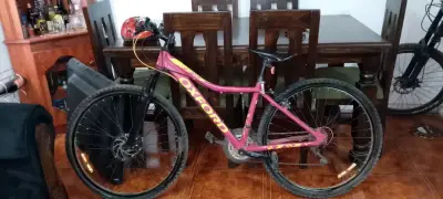 Bicicleta Oxford rosada - miniatura 1