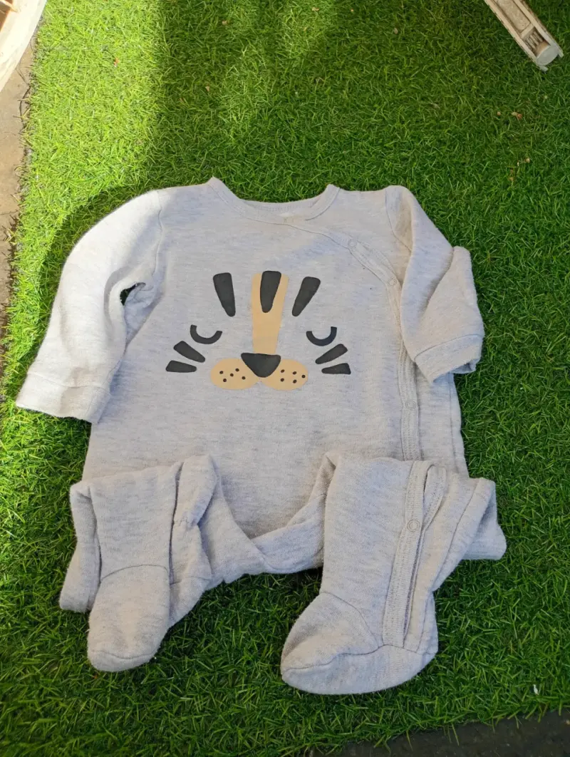 Enterito de bebé con pingüino - 4
