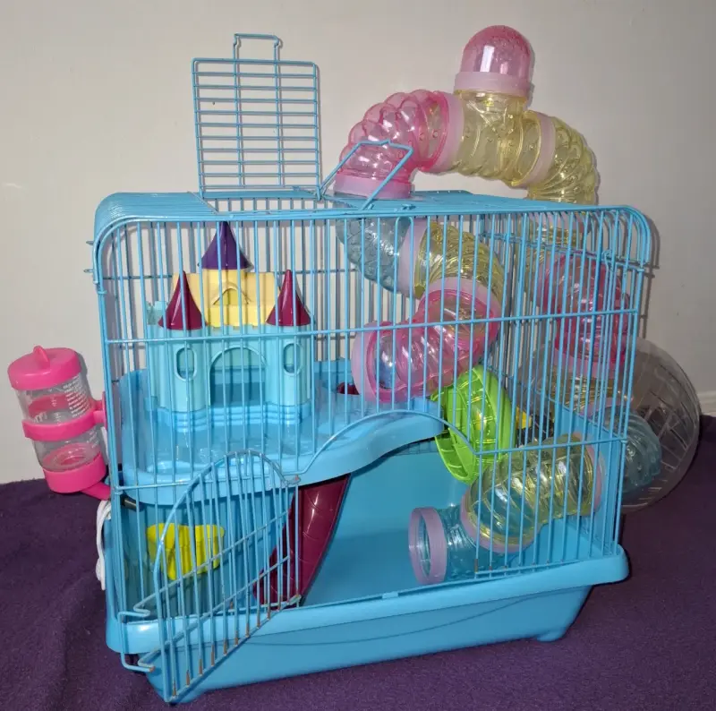 Kit completo para Hamster, listo para usar!! - 2