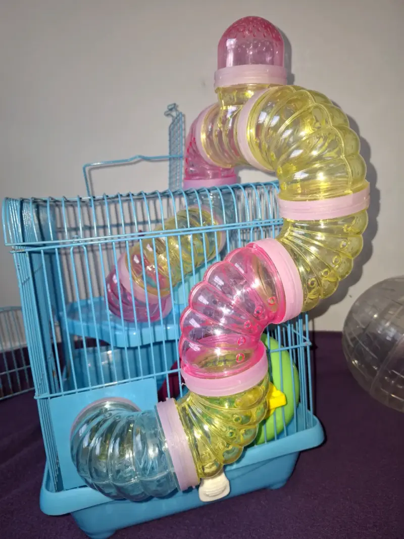 Kit completo para Hamster, listo para usar!! - 3