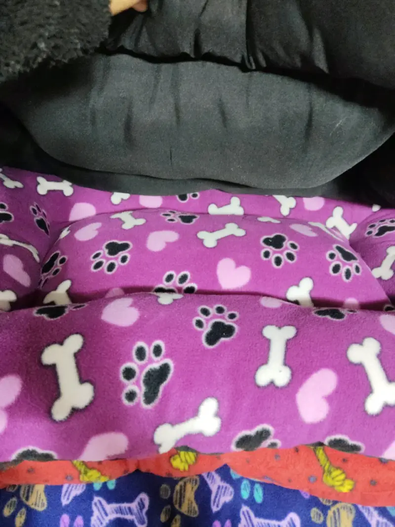 Almohadones para mascotas varios colores - 2
