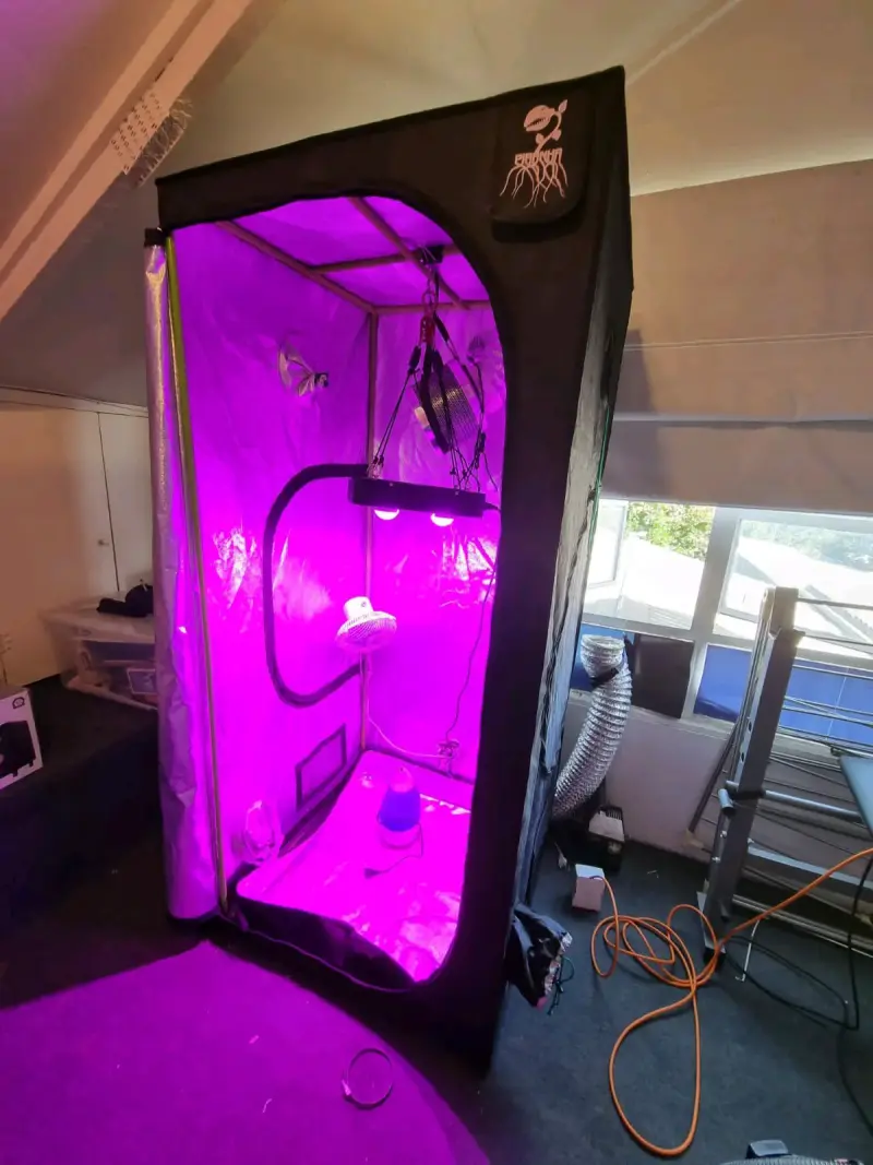 Indoor Completo Carpa C*ltivo  80x80x120 - 1