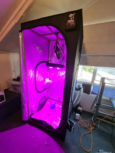 Indoor Completo Carpa C*ltivo  80x80x120 - miniatura 1