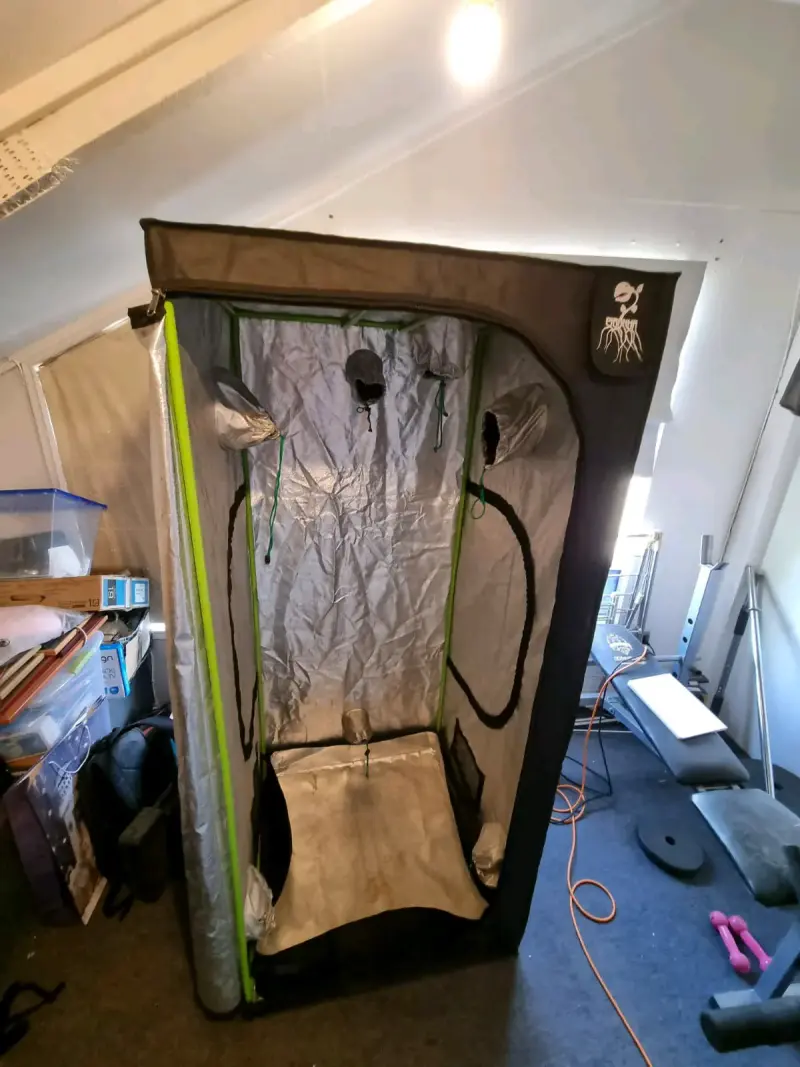 Indoor Completo Carpa C*ltivo  80x80x120 - 6
