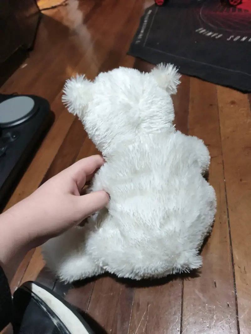 Oso de peluche blanco - 2