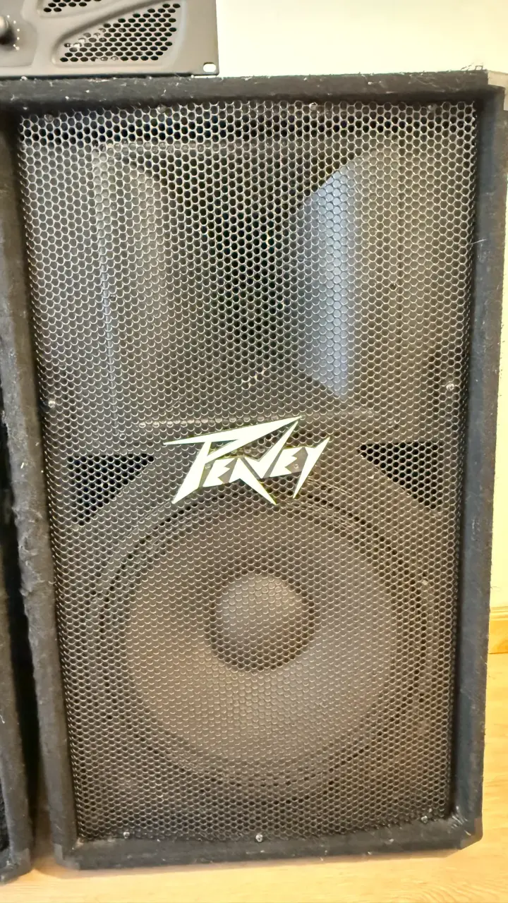 Parlantes Peavey con amplificador - 2