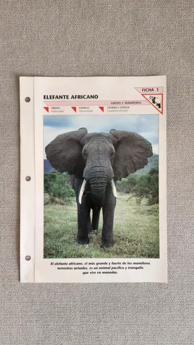 12 fichas del Fascinante Mundo de los Animales - miniatura 2