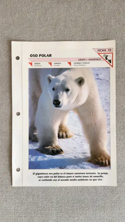 12 fichas del Fascinante Mundo de los Animales - miniatura 3