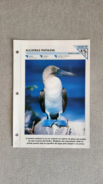 12 fichas del Fascinante Mundo de los Animales - miniatura 5