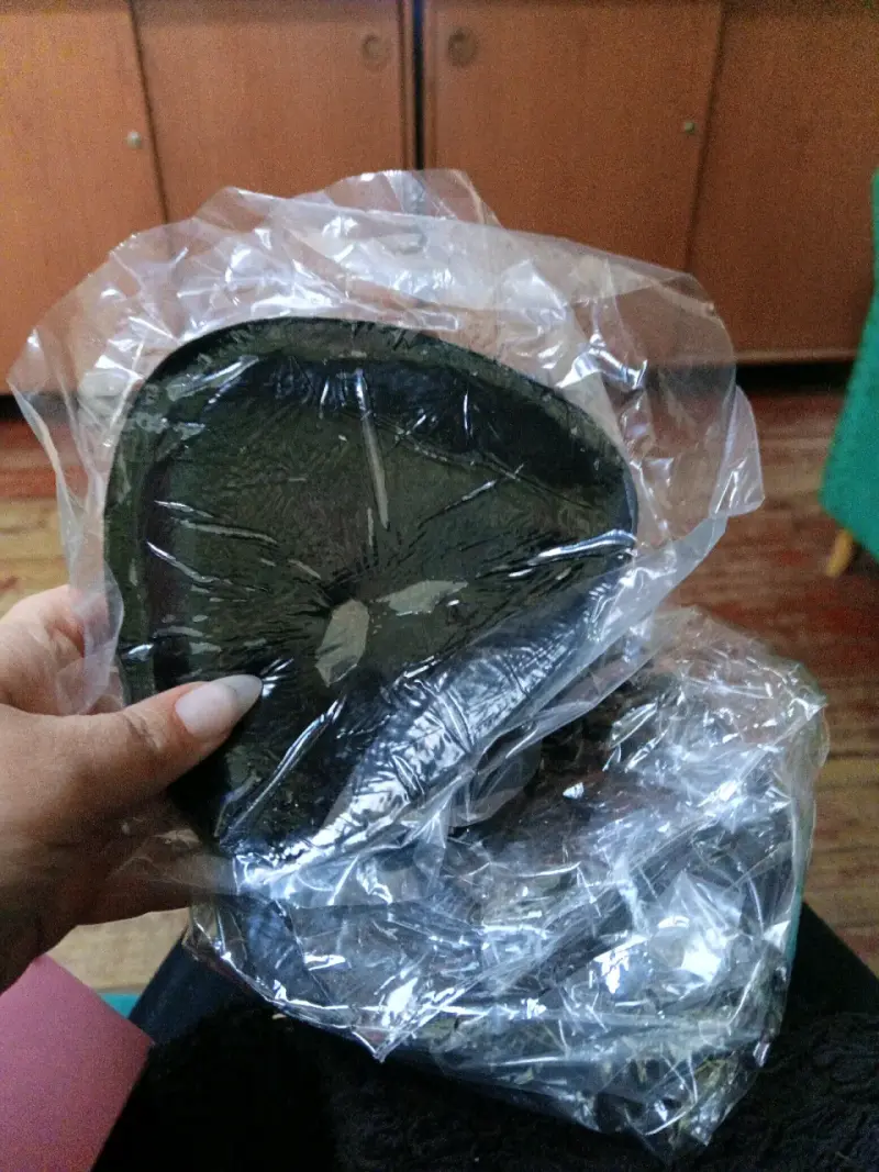 Almohadilla adhesiva aumento busto - 4