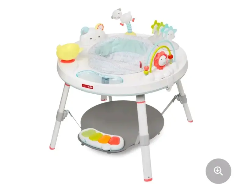 Centro de actividades Skip Hop - 2