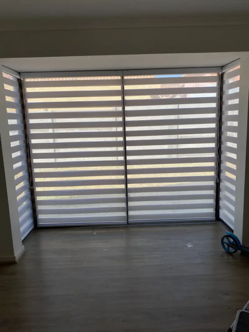 Cortinas roller zebra - 2