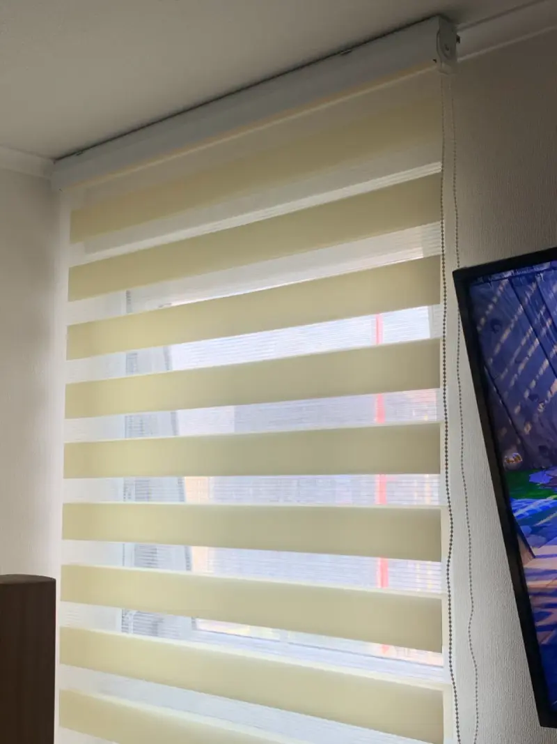 Cortinas roller zebra - 5