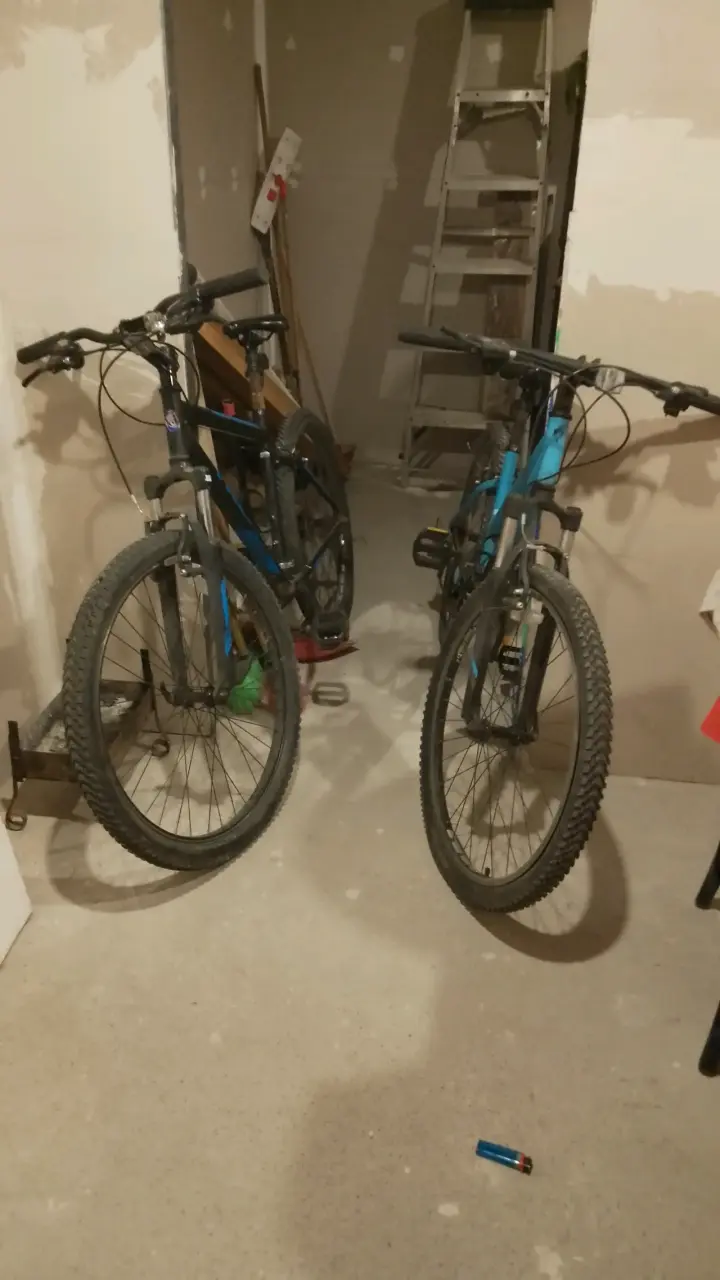 Bicicleta Trek - 1
