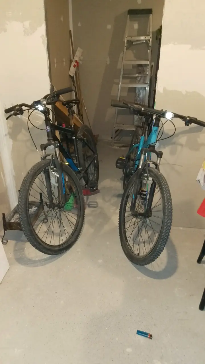Bicicleta Trek - 2