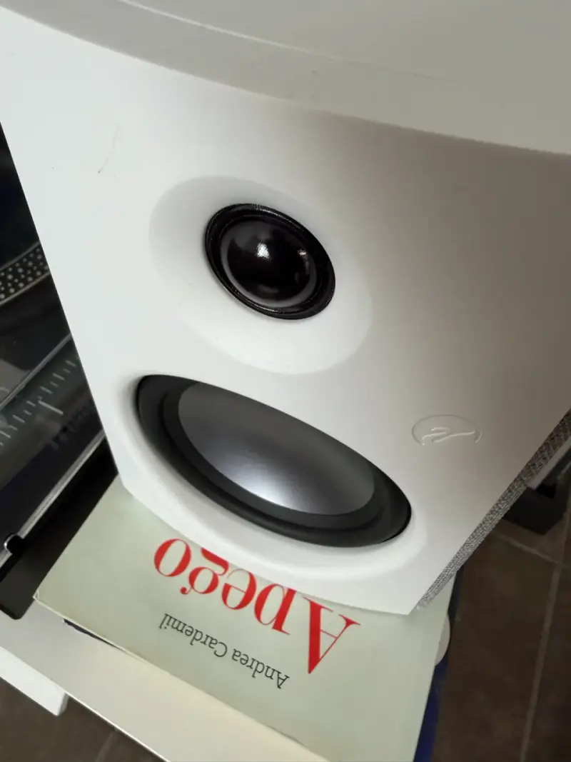 Parlantes activos Swan OS-10 - 2