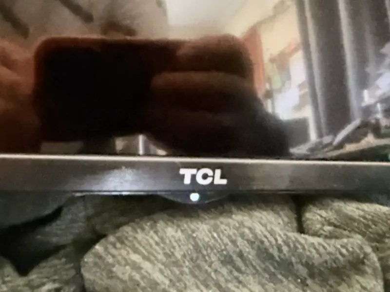 Televisor TCL pantalla plana - 3