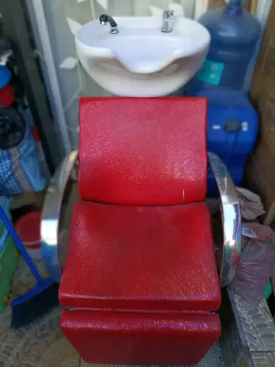 Lavapelo Rojo - miniatura 1