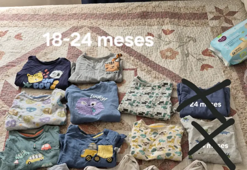 Lote de ropa infantil 18-24 meses