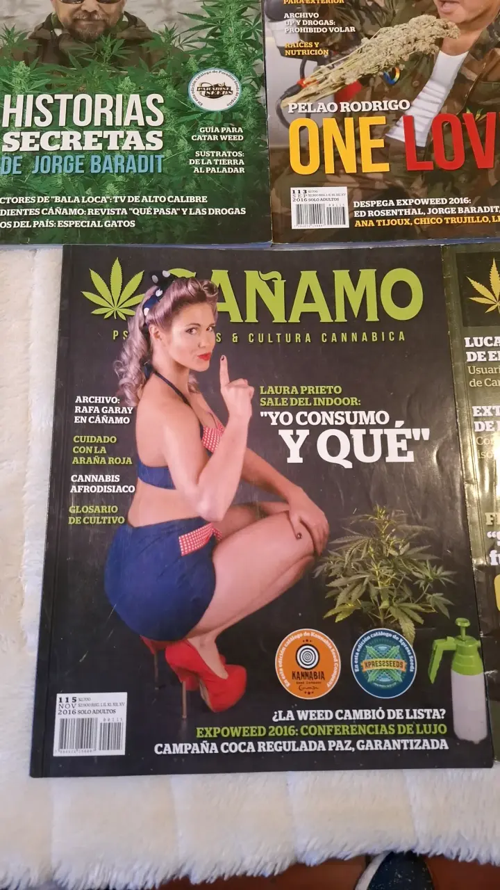 Colección de revistas Cáñamo sobre cannabis - 2
