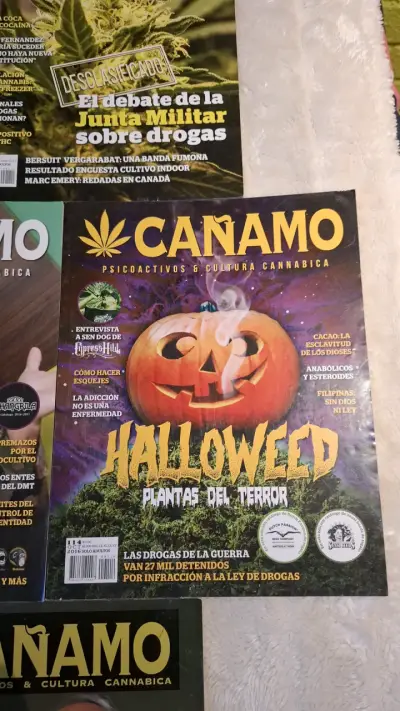 Colección de revistas Cáñamo sobre cannabis - miniatura 3