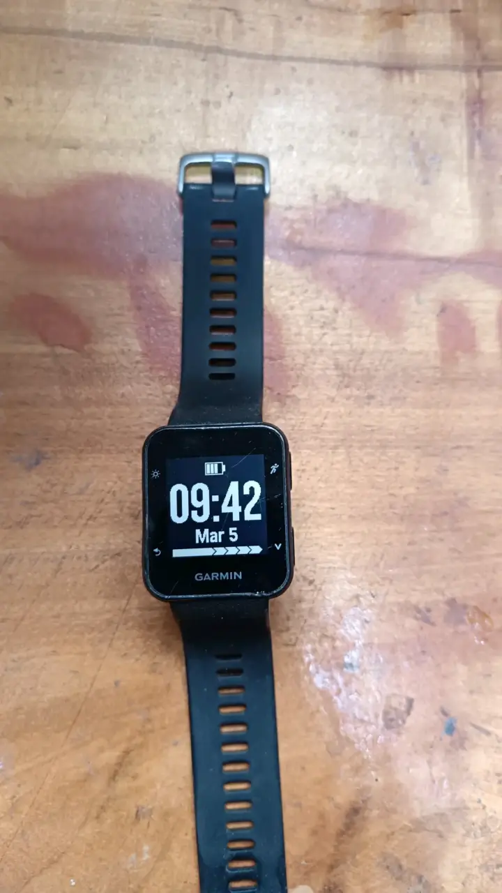 Reloj deportivo Garmin Forerunner 35 - 6