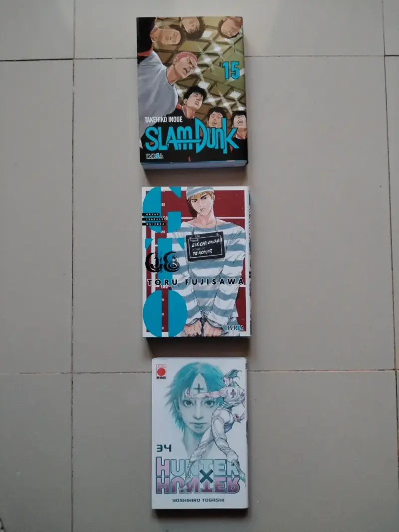 Colección de mangas populares variados - 3