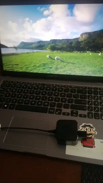 Laptop ASUS con pantalla de 15 pulgadas - miniatura 2