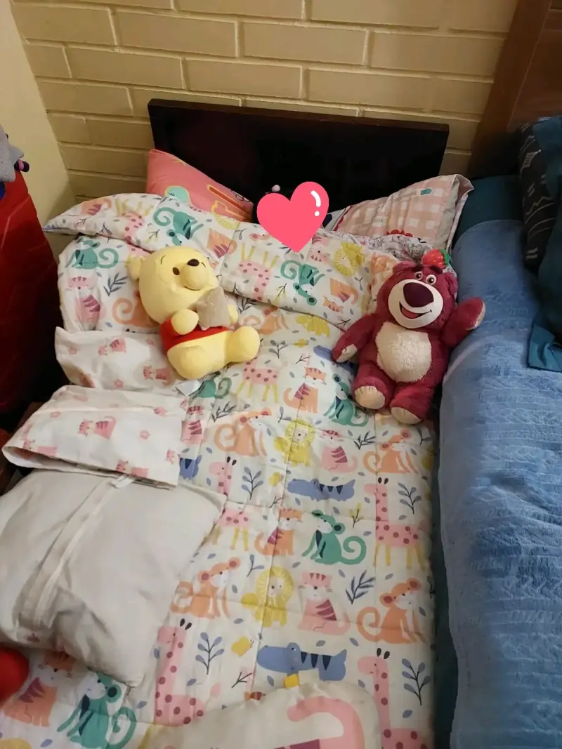 Cama de transición