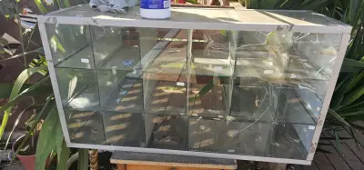 Vitrina de vidrio con estantes - miniatura 2