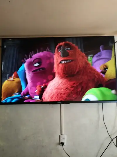 Televisor Sony de pantalla plana,55 pulgadas - miniatura 1