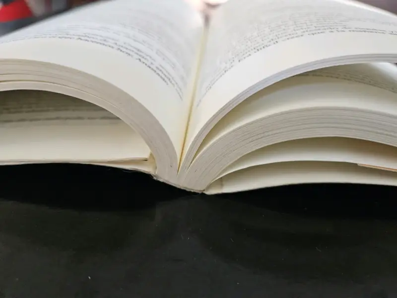 Libro 'La Papisa' de Donna W. Cross - 5