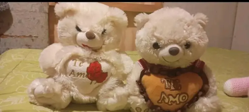 Set de osos de peluche con mensajes de amor - 3