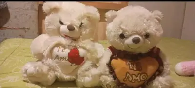 Set de osos de peluche con mensajes de amor - miniatura 3