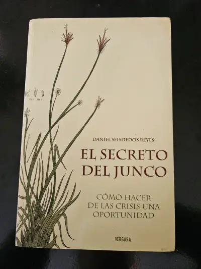 Libro 'El Secreto del Junco' Daniel Seisdedos Re - miniatura 1