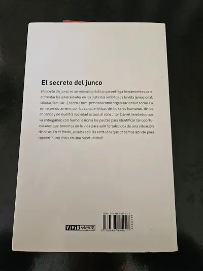 Libro 'El Secreto del Junco' Daniel Seisdedos Re - miniatura 2